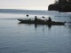 Thumbs/tn_IMG_1011.jpg
