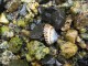 Thumbs/tn_IMG_1052.jpg