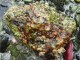 Thumbs/tn_IMG_1053.jpg