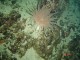 Thumbs/tn_DSC00970.jpg