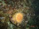 Thumbs/tn_DSC00978.jpg