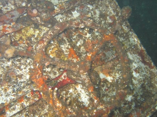 ../Images/Shipwreck10.jpg