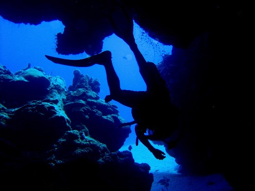 ../Images/181cozumel.jpg