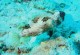 Thumbs/tn_113cozumel.jpg