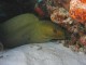 Thumbs/tn_135cozumel.jpg