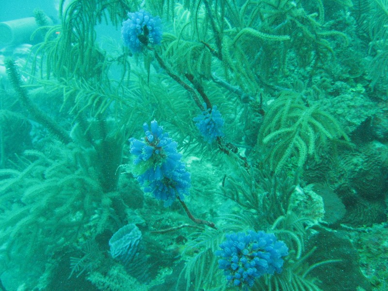 ../Images/waterIMG_0120.jpg