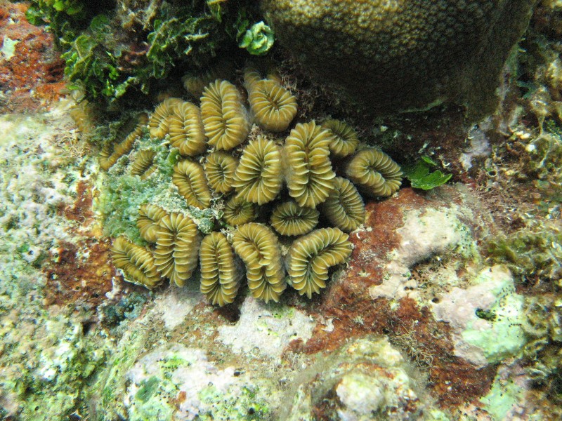 ../Images/waterIMG_0150.jpg