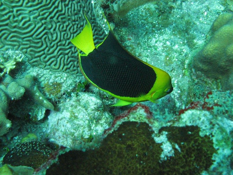 ../Images/waterIMG_0313.jpg