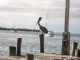 Thumbs/tn_lodgeIMG_0414.jpg