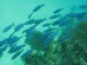 Thumbs/tn_waterIMG_0112.jpg