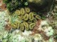 Thumbs/tn_waterIMG_0150.jpg