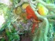Thumbs/tn_waterIMG_0173.jpg