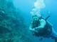Thumbs/tn_waterIMG_0264.jpg
