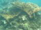 Thumbs/tn_waterIMG_0371.jpg