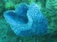 Thumbs/tn_waterIMG_0388.jpg