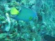 Thumbs/tn_waterIMG_0429.jpg