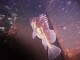 Thumbs/tn_OW035.jpg