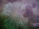 Thumbs/tn_OW041.jpg