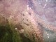 Thumbs/tn_OW042.jpg