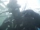Thumbs/tn_OW047.jpg