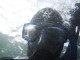 Thumbs/tn_OW048.jpg