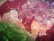 Thumbs/tn_OW057.jpg