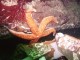 Thumbs/tn_OW061.jpg