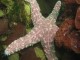 Thumbs/tn_JulyOW009.jpg
