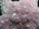 Thumbs/tn_JulyOW014.jpg