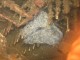 Thumbs/tn_JulyOW076.jpg