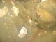 Thumbs/tn_JulyOW091.jpg
