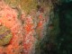 Thumbs/tn_Monterey110407-1.jpg