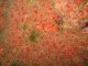 Thumbs/tn_Monterey110407-2.jpg