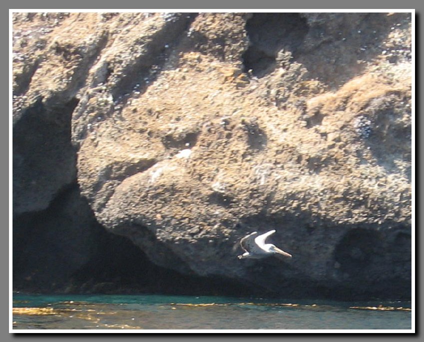 Island-066