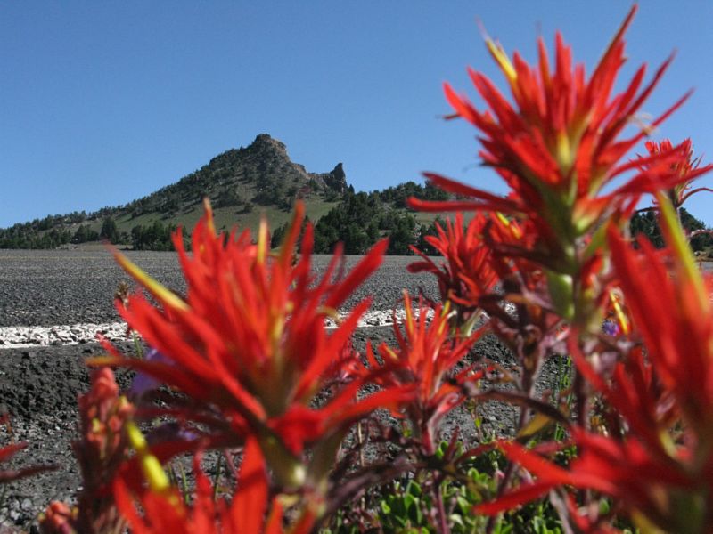 Scuba_CraterLake_ScarletPaintBrush_Mt