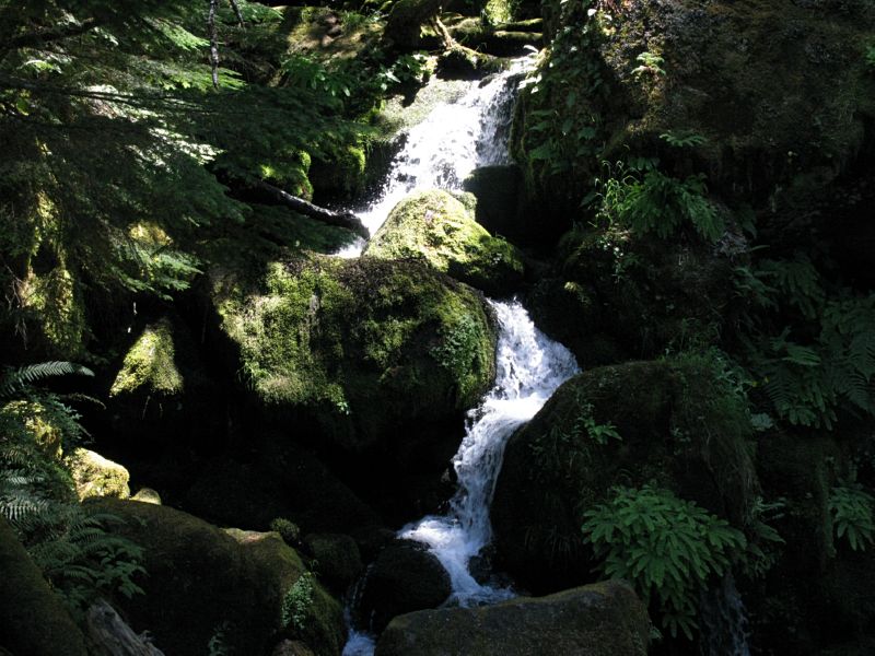 Scuba_CraterLake_WatsonFalls02