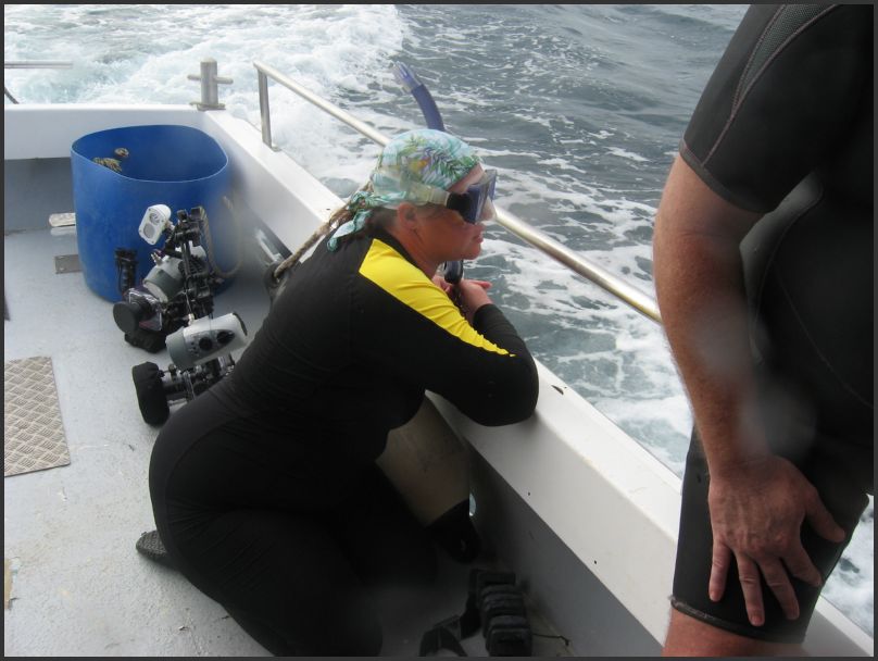 7360_Diving_Boat_KrisReady