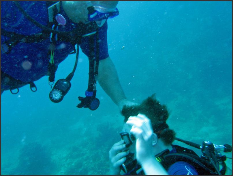8010_Diving_P_BradMason
