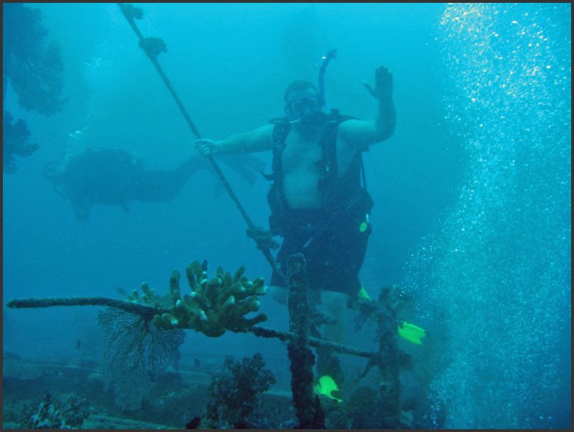 8020_Diving_P_Darren4