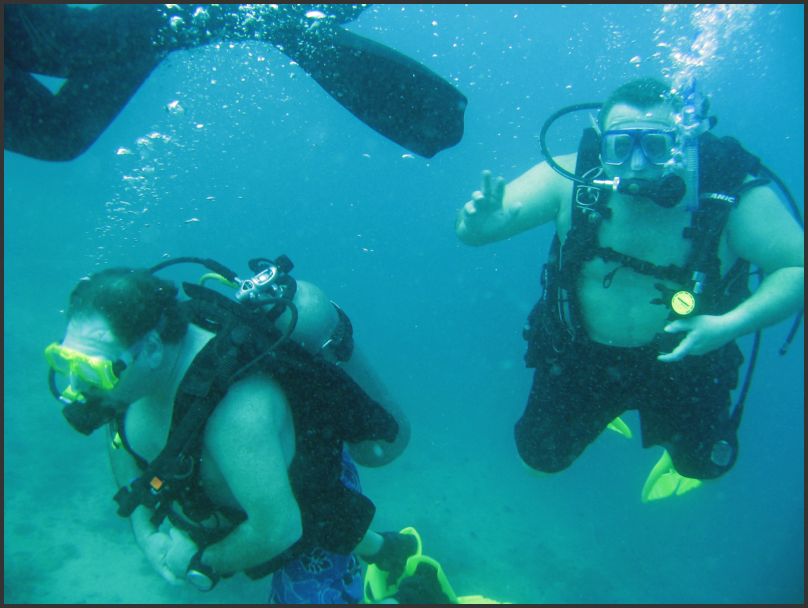8040_Diving_P_DarrenTim