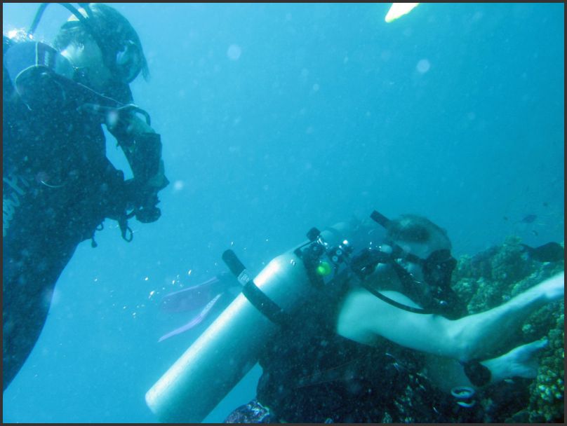 8080_Diving_P_JenJake