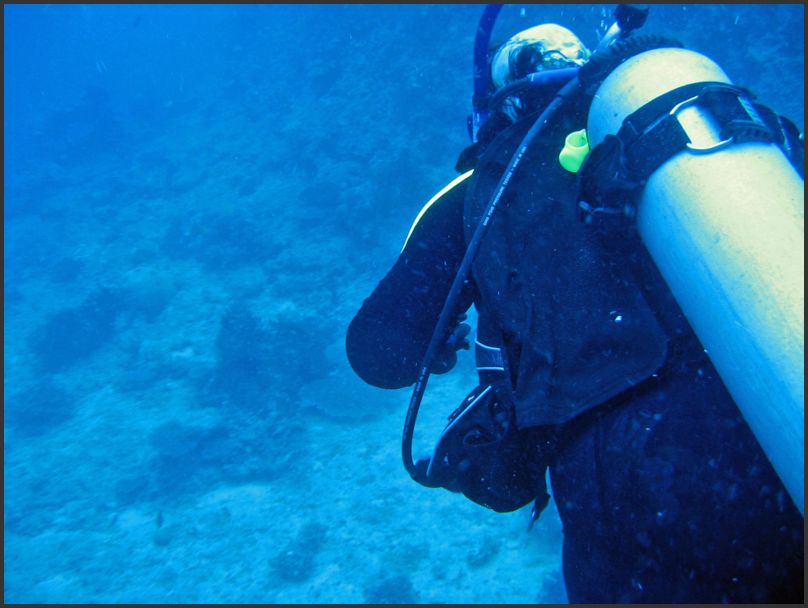 8120_Diving_P_Kris_1st_2