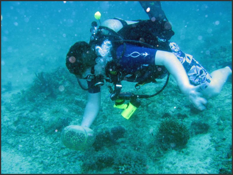 8150_Diving_P_Mason