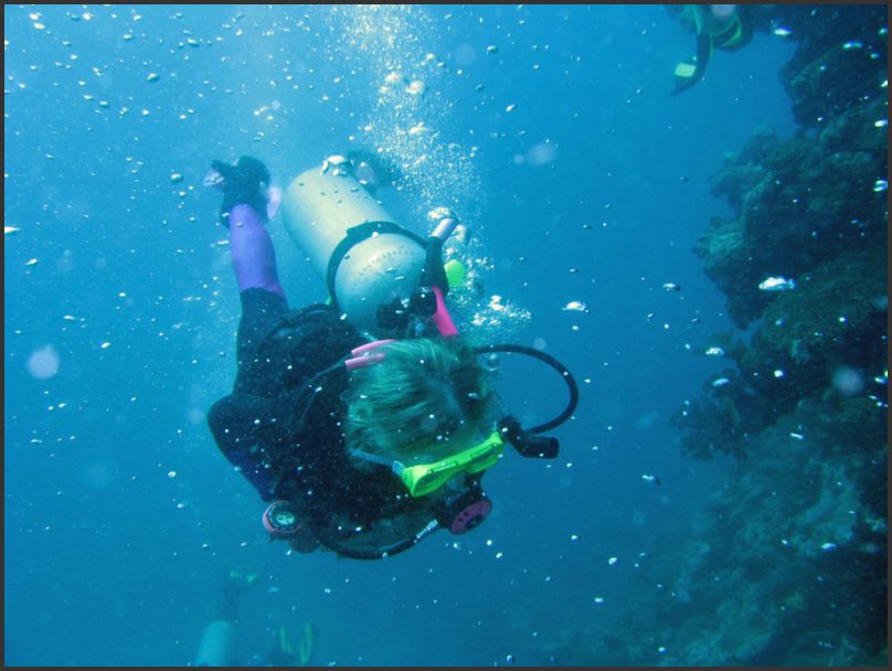 8170_Diving_P_Pam3