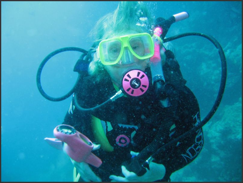 8180_Diving_P_Pam4