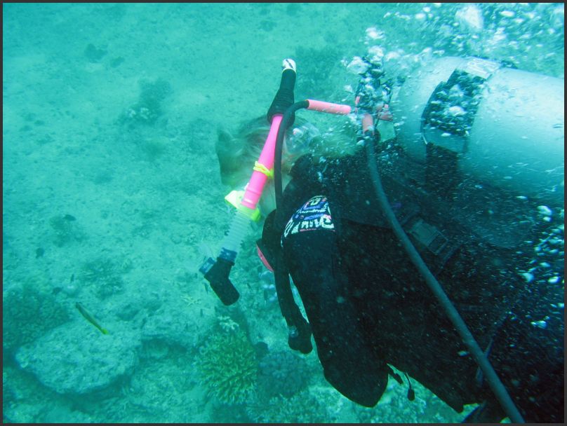 8190_Diving_P_Pam