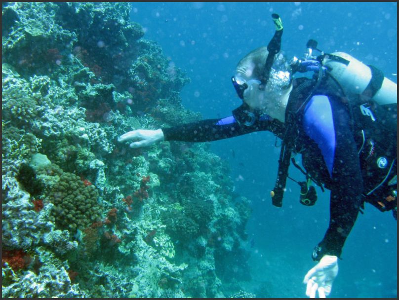 8220_Diving_P_Rick3