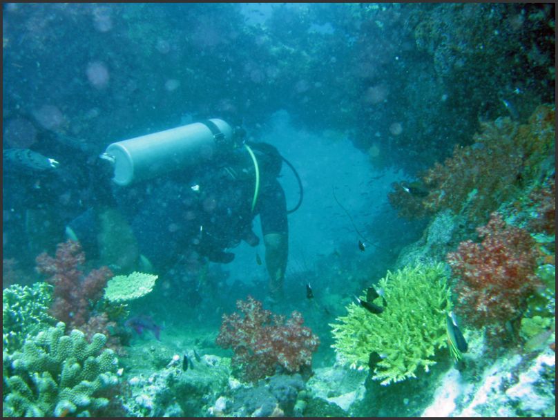 8630_Diving_SwimThru