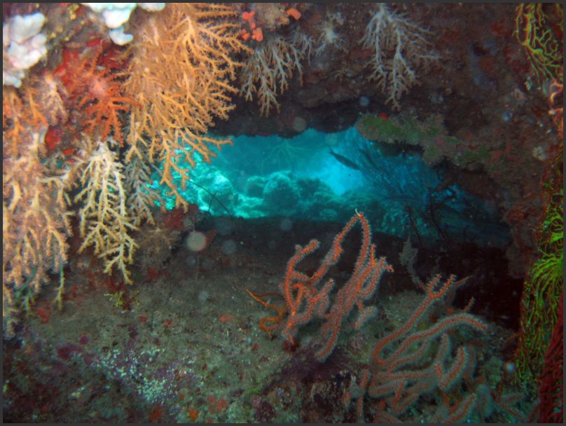 8660_Diving_Window