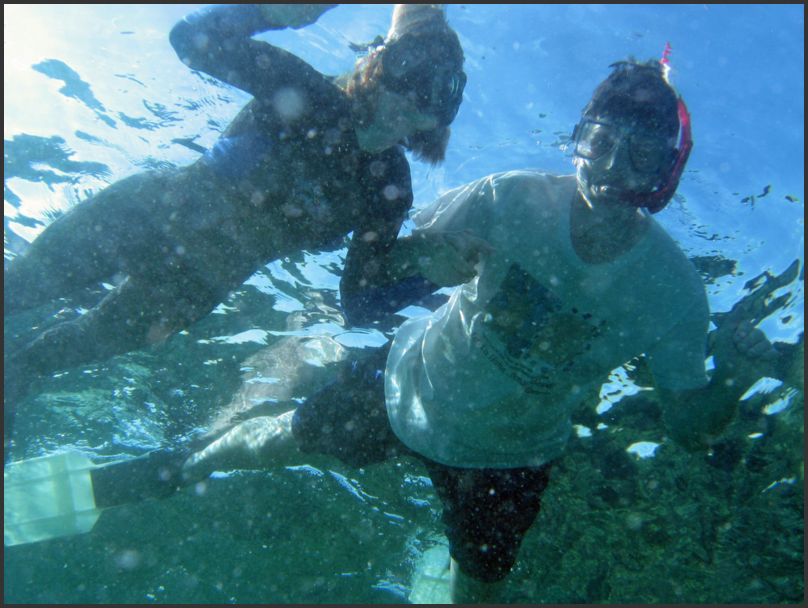 8850_Diving_ShoreSnorkelers